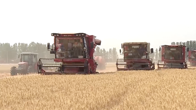 种粮大户的&ldquo;丰收密码&rdquo;