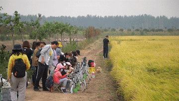 田园变&ldquo;游园&rdquo;，活力乡村引客来