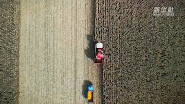 吉林:机械化水平提升 农民告别“手掰”苞米