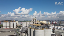 端牢这碗大国科技“饭”:看科技如何助力加工减损