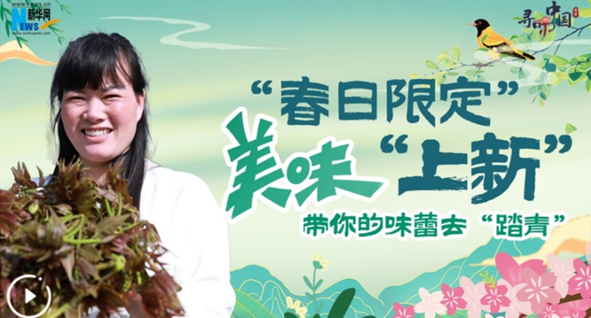 &ldquo;春日限定&rdquo;美味&ldquo;上新&rdquo; 带你的味蕾去&ldquo;踏青&rdquo;