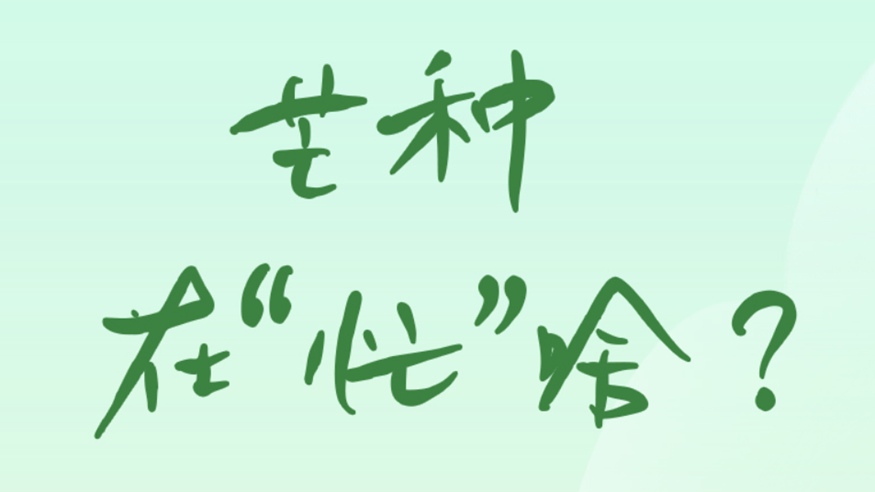 芒种在&ldquo;忙&rdquo;啥？