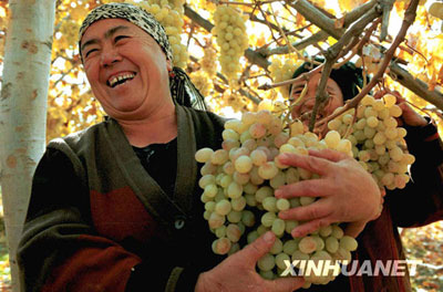 新疆少数民族女性&ldquo;择业观&rdquo;日渐开放