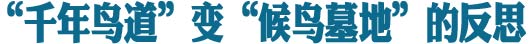“千年鸟道”变候鸟墓地，每个人都应反思