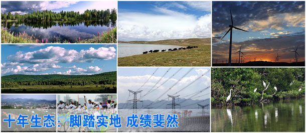 十年生态：脚踏实地 成绩斐然
