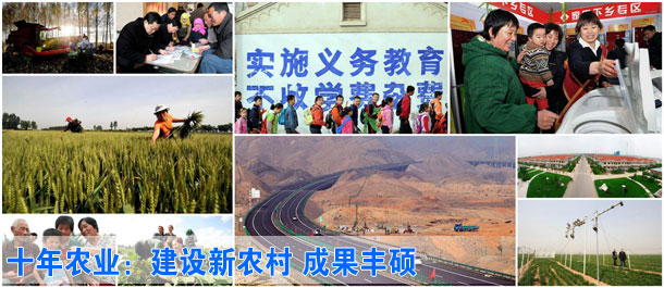 十年农业：建设新农村 成果丰硕