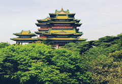 十名楼联合申遗前景如何？