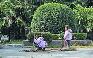 3岁双胞胎姐妹帮清洁工奶奶扫马路引关注