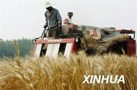 农业部:今年秋粮丰收实现九连增