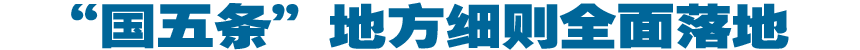 "国五条"地方细则全面落地