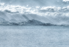 上海大学美术学院年度展