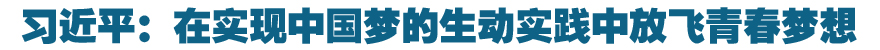 习近平：在实现中国梦的生动实践中放飞青春梦想