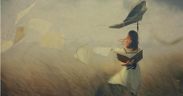 2013年索尼世界摄影奖获奖作品精彩集锦