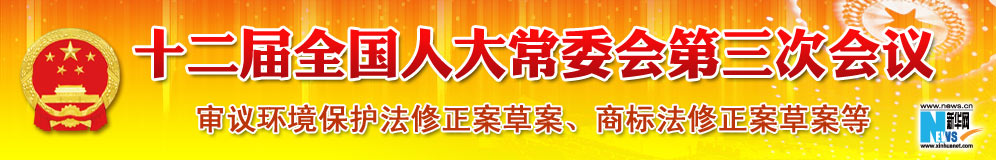 十二届全国人大常委会第三次会议