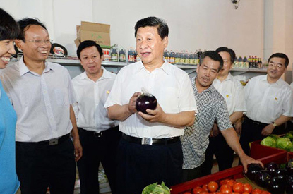 习近平：中国革命历史是最好的营养剂