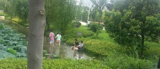 年年夏天看&ldquo;大海&rdquo; 年年都有淡定帝