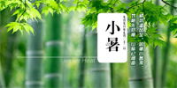 二十四节气之小暑