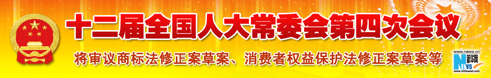 十二届全国人大常委会第四次会议