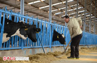 土默特左旗北得力图村村长夏海军：在希望的田野上筑起创业路