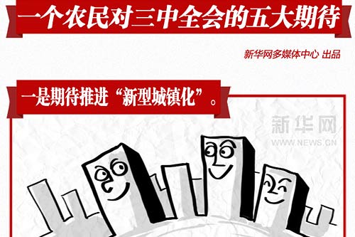 一个农民对三中全会的五大期待