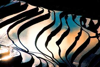 哈尼梯田被列为世界非物质文化遗产