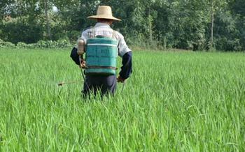 我国第一个抗病毒蛋白质生物农药研制成功
