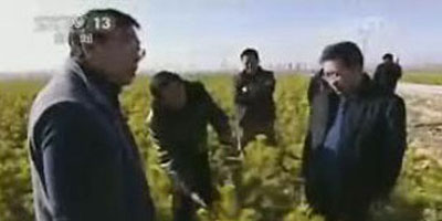 山西省右玉县委员会:多做打基础利长远的事