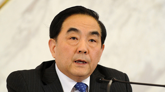 杨凯生回答记者问