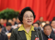 林文漪主持会议