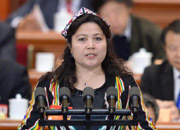 布娲鹣&middot;阿布拉委员发言