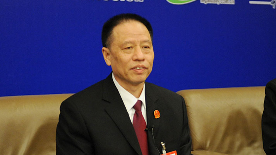 安徽省高级人民法院院长张坚