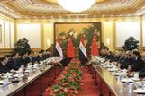 胡錦濤與埃及總統會談