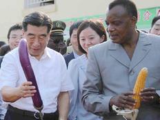 回良玉和刚果（布）总统萨苏出席中国援刚农业技术示范中心揭牌仪式