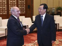 王刚会见亚美尼亚公众院代表团