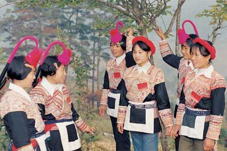 景宁畲乡创富路宽