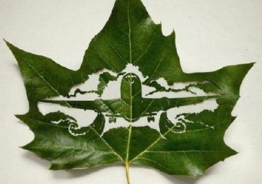 异想天开的创意摄影