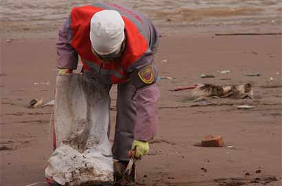 黄河兰州段的“美容师”