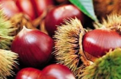 10种食物不可过量食用