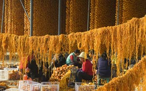 走进柿子之乡 实拍柿饼制作过程