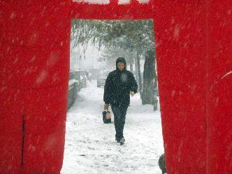 一眼知天下（12月5日）
