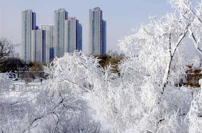 吉林迎雾凇美景