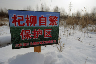 有限资源无限空间－－大庆模式之启示