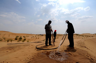 沙里淘金建起致富链——内蒙古沙产业扫描