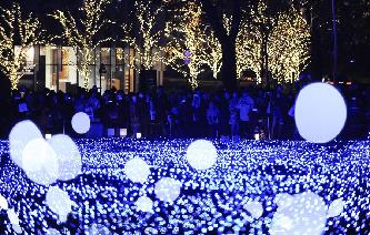 一眼知天下(12月11日)