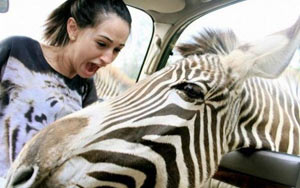 看完绝对惊呼的超级恶搞照