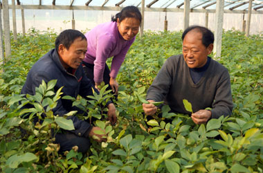 让农民增收脚步跟上“城里人”——基层呼吁打破城乡二元桎梏