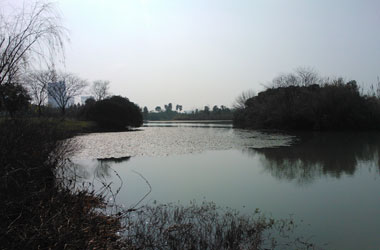 青山绿水带笑颜 返还商机到人间——江西湿地公园“绿色发展”启示录