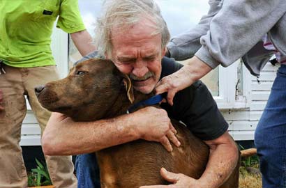 2012让人心生温暖的治愈系照片！