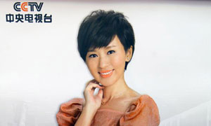 央视2013年新挂历曝光 康辉董卿&ldquo;打头阵&rdquo;