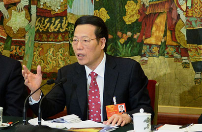 张高丽参加广西代表团审议